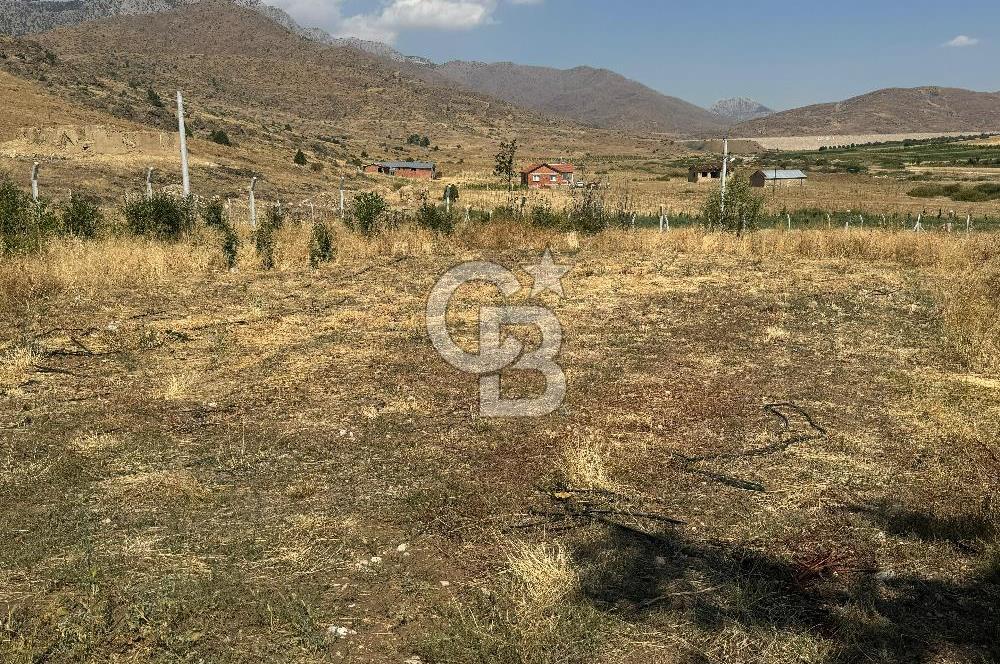 Isparta Şarkikaraağaç'da Satılık Fırsat Yatırımlık Arsa