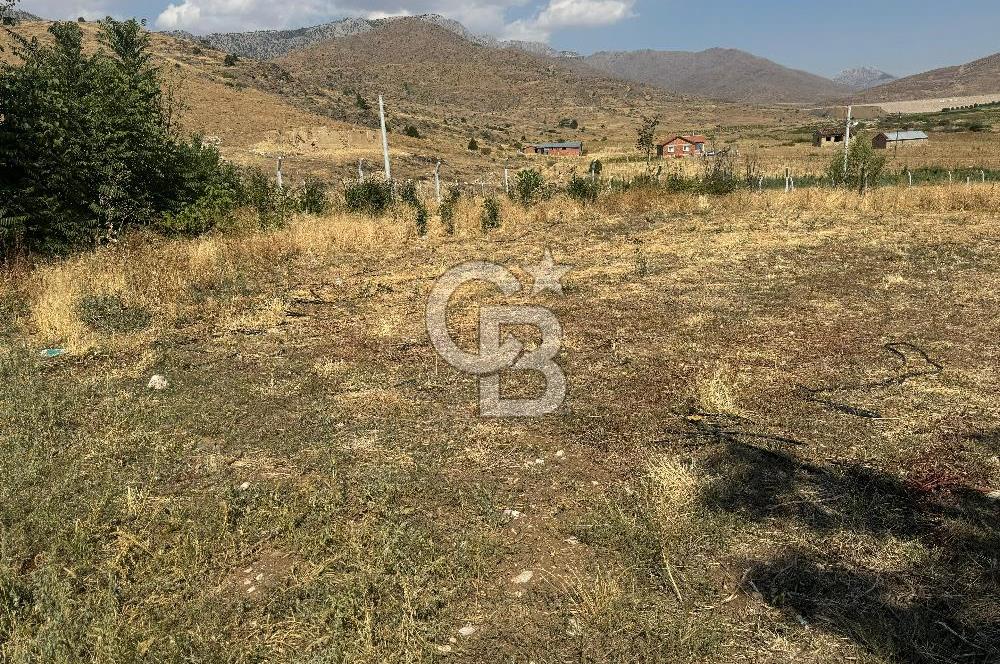 Isparta Şarkikaraağaç'da Satılık Fırsat Yatırımlık Arsa