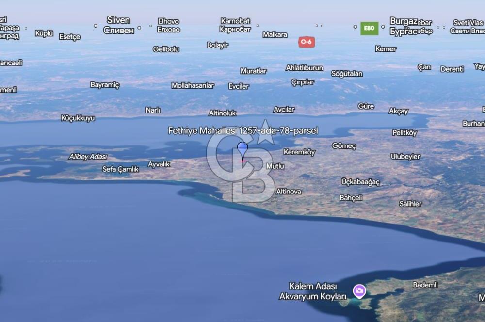 Ayvalık Fethiye de Yatırımlık Verimli Zeytinlik