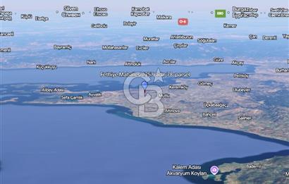 Ayvalık Fethiye de Yatırımlık Verimli Zeytinlik