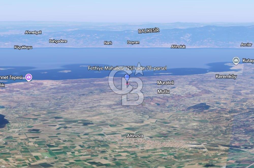 Ayvalık Fethiye de Yatırımlık Verimli Zeytinlik