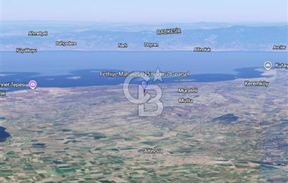 Ayvalık Fethiye de Yatırımlık Verimli Zeytinlik