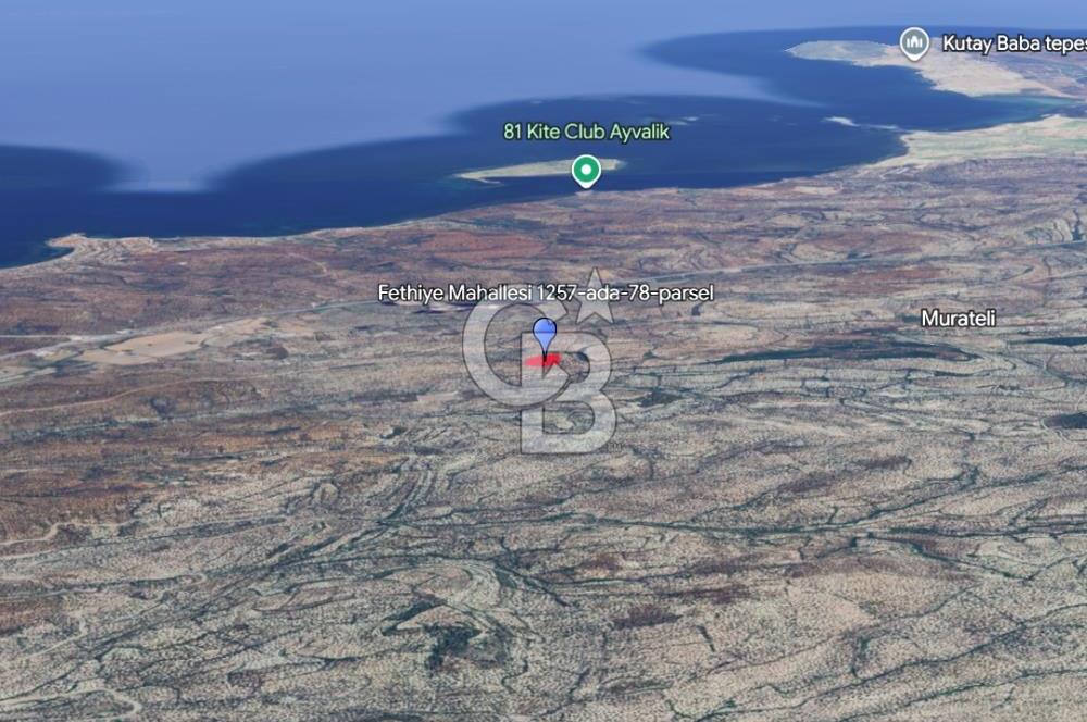 Ayvalık Fethiye de Yatırımlık Verimli Zeytinlik