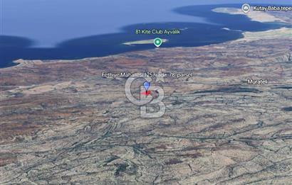 Ayvalık Fethiye de Yatırımlık Verimli Zeytinlik