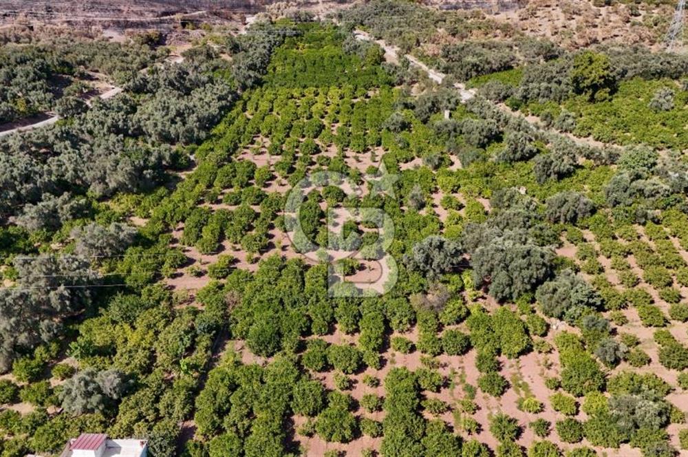 Seferihisar Ürkmez Satılık 8.830 m2 Tarla