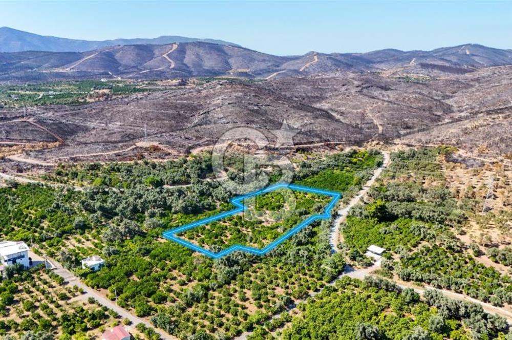 Seferihisar Ürkmez Satılık 8.830 m2 Tarla