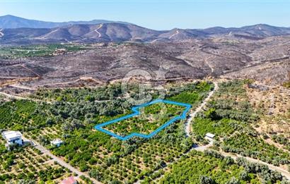 Seferihisar Ürkmez Satılık 8.830 m2 Tarla
