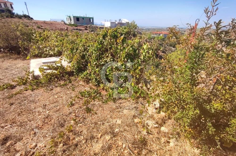 Hacıisali de satılık 619 m2 arsa