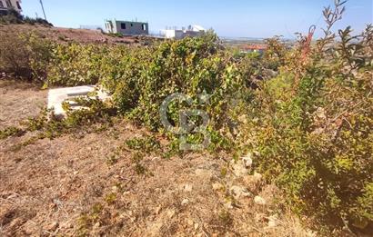Hacıisali de satılık 619 m2 arsa