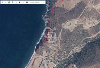 Karaburun Sarpıncıkta 1750 m2 satılık tarla