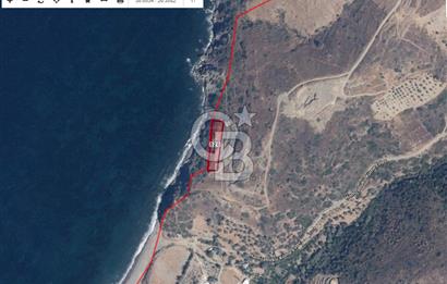 Karaburun Sarpıncıkta 1750 m2 satılık tarla