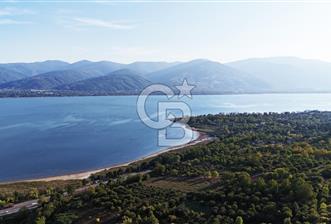 KOCAELİ KARTEPE/ESKİEŞME'DE GÖL MANZARALI SATILIK 4507M2 TARLA