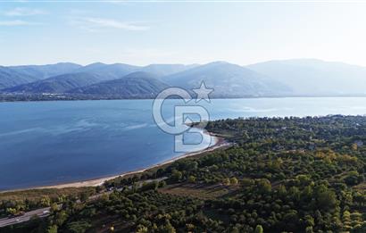 KOCAELİ KARTEPE/ESKİEŞME'DE GÖL MANZARALI SATILIK 4507M2 TARLA