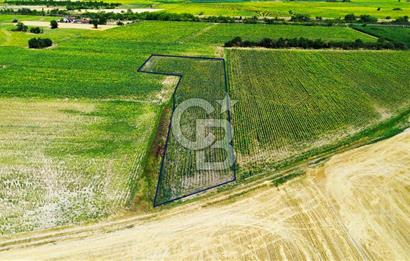 KIRKLARELİ KARACAİBRAHİMDE 5546 m² YOLA 34 M CEPHE SATILIK TARLA