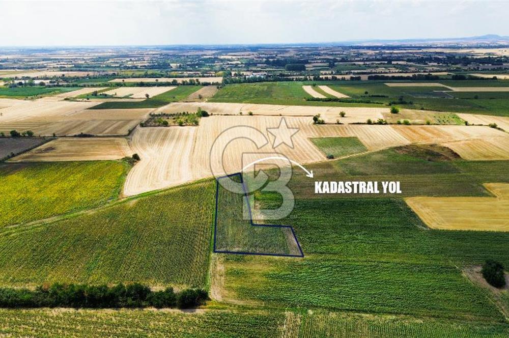 KIRKLARELİ KARACAİBRAHİMDE 5546 m² YOLA 34 M CEPHE SATILIK TARLA