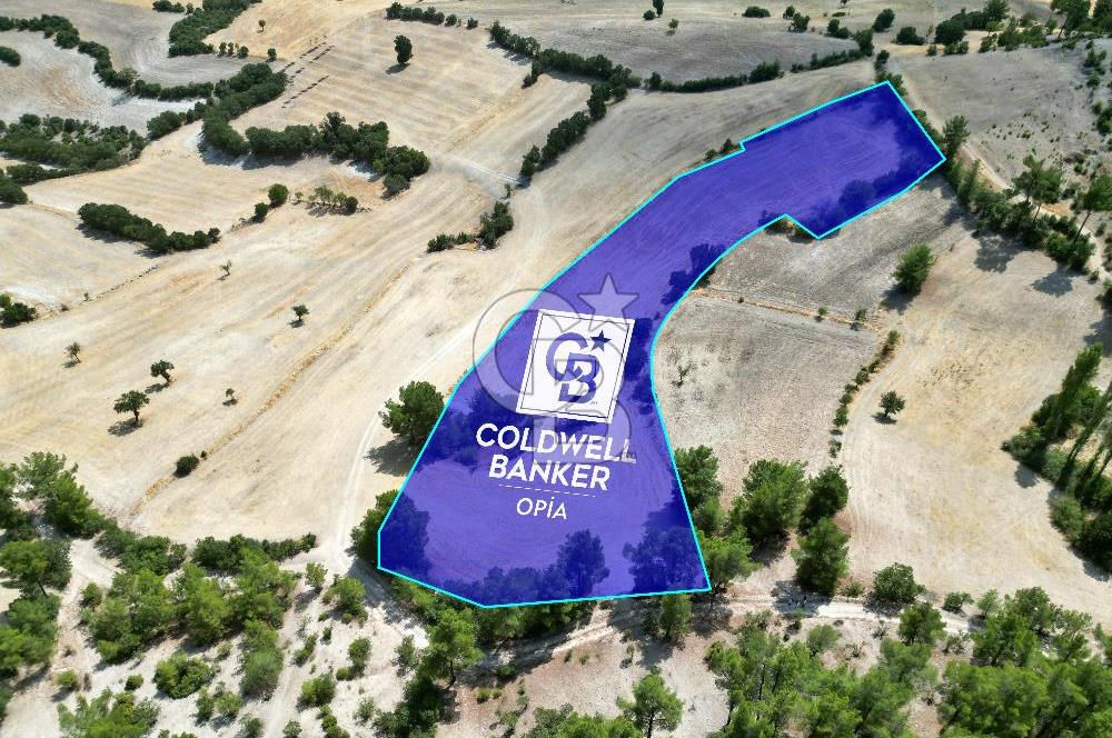CB OPİA'DAN 'SINIRLI BÜTÇE İLE YÜKSEK POTANSİYEL 10.773M² TARLA'