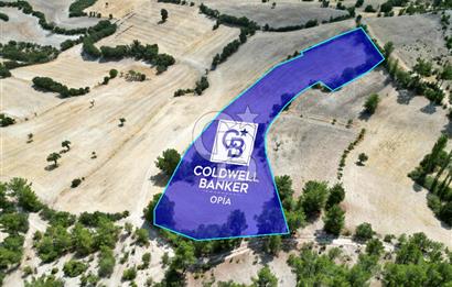 CB OPİA'DAN 'SINIRLI BÜTÇE İLE YÜKSEK POTANSİYEL 10.773M² TARLA'