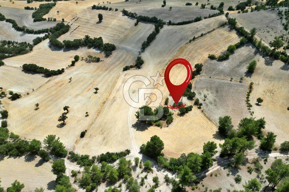 CB OPİA'DAN 'SINIRLI BÜTÇE İLE YÜKSEK POTANSİYEL 10.773M² TARLA'