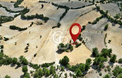 CB OPİA'DAN 'SINIRLI BÜTÇE İLE YÜKSEK POTANSİYEL 10.773M² TARLA'