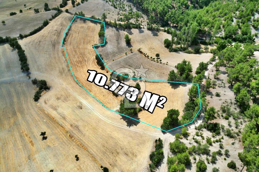 CB OPİA'DAN 'SINIRLI BÜTÇE İLE YÜKSEK POTANSİYEL 10.773M² TARLA'