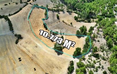 CB OPİA'DAN 'SINIRLI BÜTÇE İLE YÜKSEK POTANSİYEL 10.773M² TARLA'
