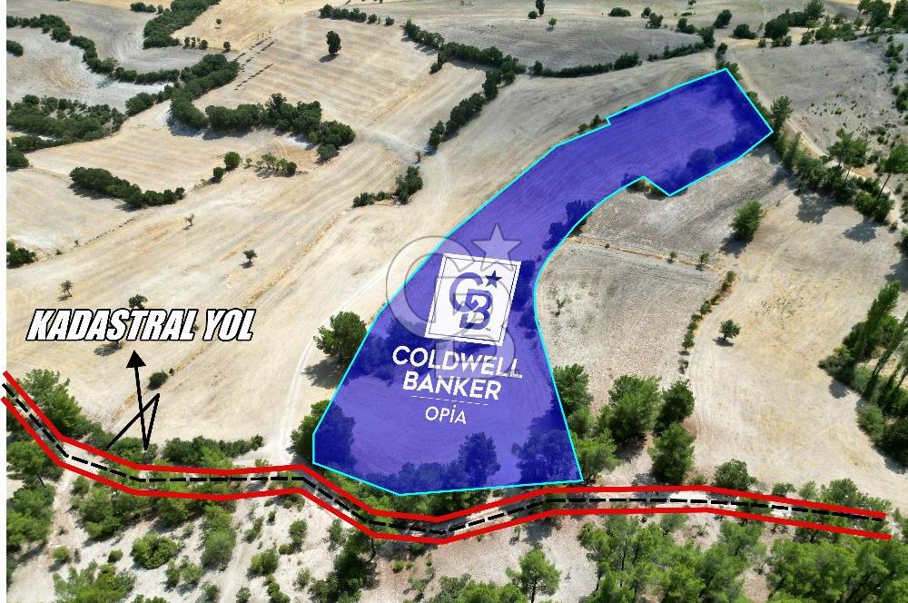 CB OPİA'DAN 'SINIRLI BÜTÇE İLE YÜKSEK POTANSİYEL 10.773M² TARLA'