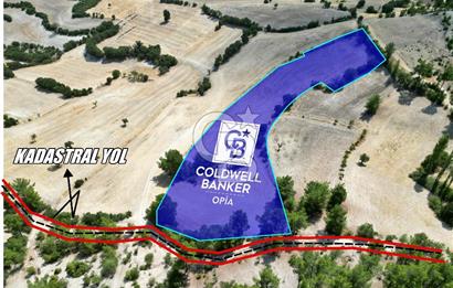 CB OPİA'DAN 'SINIRLI BÜTÇE İLE YÜKSEK POTANSİYEL 10.773M² TARLA'