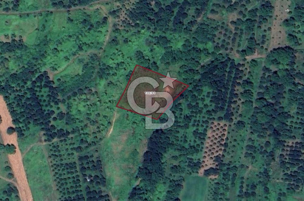 KOCAELİ KARTEPE/ESKİEŞME'DE GÖL MANZARALI SATILIK 4507M2 TARLA