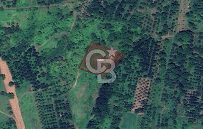 KOCAELİ KARTEPE/ESKİEŞME'DE GÖL MANZARALI SATILIK 4507M2 TARLA