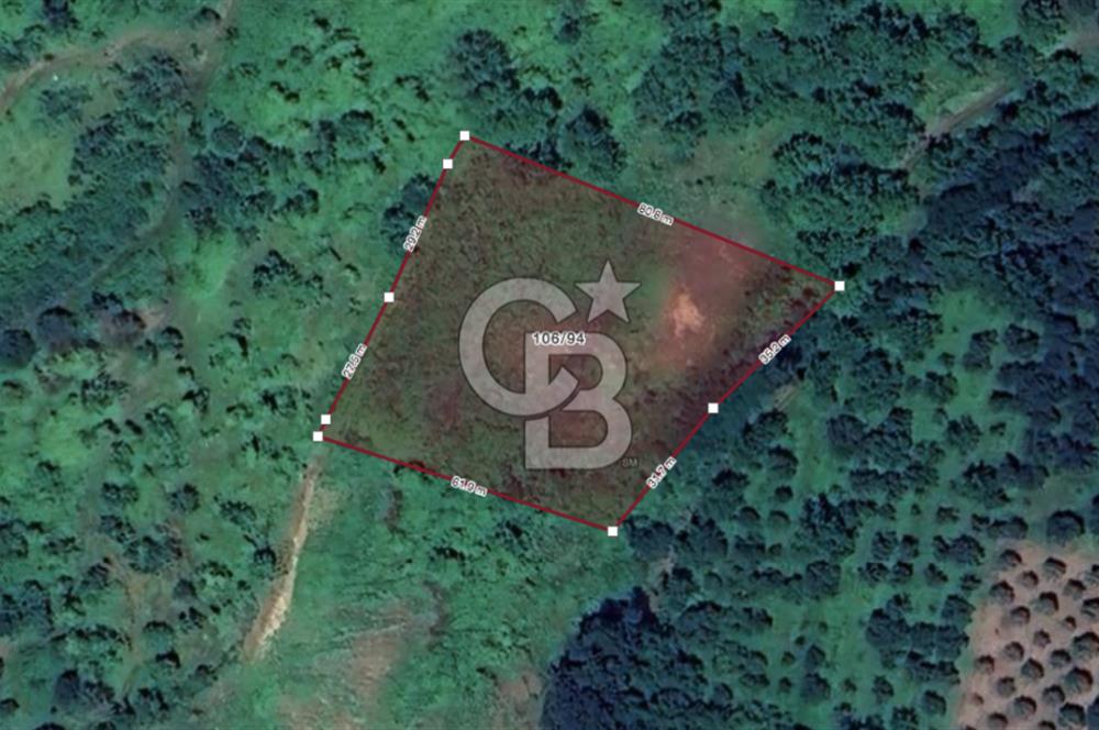 KOCAELİ KARTEPE/ESKİEŞME'DE GÖL MANZARALI SATILIK 4507M2 TARLA