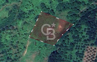 KOCAELİ KARTEPE/ESKİEŞME'DE GÖL MANZARALI SATILIK 4507M2 TARLA