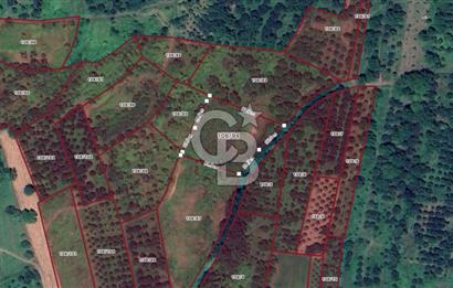 KOCAELİ KARTEPE/ESKİEŞME'DE GÖL MANZARALI SATILIK 4507M2 TARLA