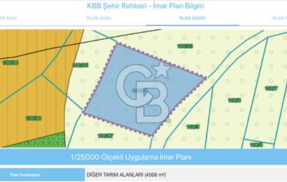 KOCAELİ KARTEPE/ESKİEŞME'DE GÖL MANZARALI SATILIK 4507M2 TARLA