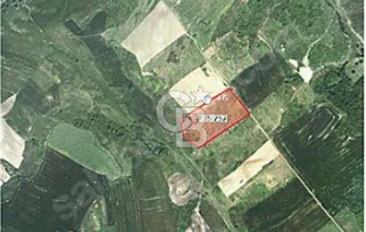 ARNAVUTKÖY DURSUNKÖYDE SATILIK 200 METRE ÇAPLI ARSA