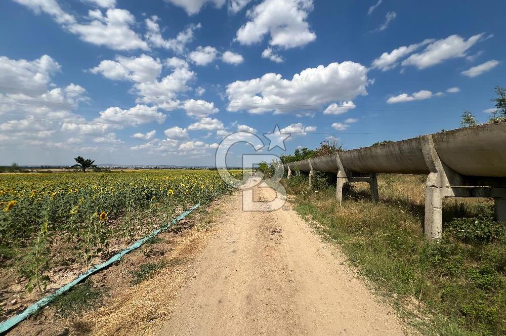 KIRKLARELİ KARACAİBRAHİMDE 5546 m² YOLA 34 M CEPHE SATILIK TARLA