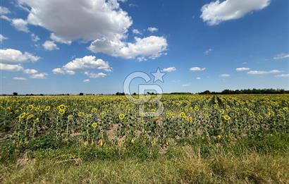KIRKLARELİ KARACAİBRAHİMDE 5546 m² YOLA 34 M CEPHE SATILIK TARLA