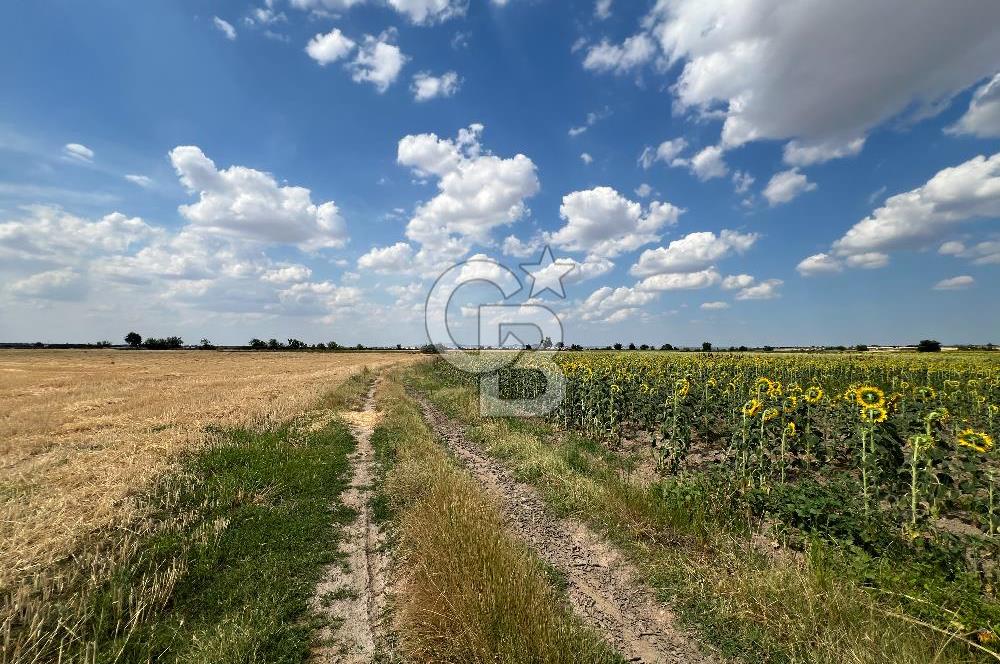 KIRKLARELİ KARACAİBRAHİMDE 5546 m² YOLA 34 M CEPHE SATILIK TARLA