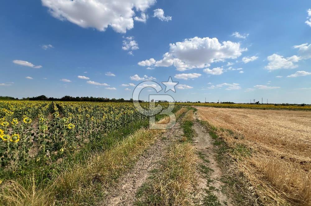 KIRKLARELİ KARACAİBRAHİMDE 5546 m² YOLA 34 M CEPHE SATILIK TARLA
