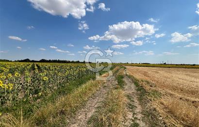 KIRKLARELİ KARACAİBRAHİMDE 5546 m² YOLA 34 M CEPHE SATILIK TARLA