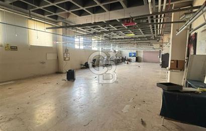 KİRALIK 3600 M² AVCILAR AMBARLIDA FABRİKA & ÜRETİM TESİSİ