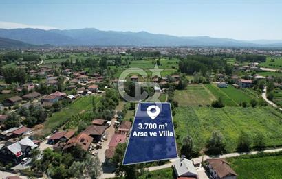 ÖZEL MÜLK AKYAZI'DA SATILIK HAVUZLU 3.700 M² ARSA VE ÇİFTLİK EVİ