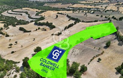CB OPİA'DAN 'SINIRLI BÜTÇE İLE YÜKSEK POTANSİYEL 10.773M² TARLA'
