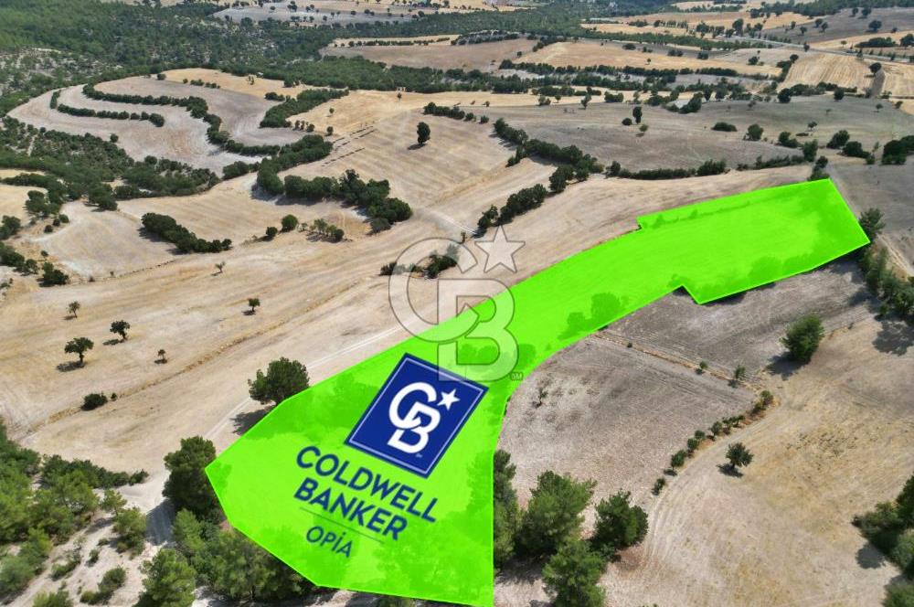 CB OPİA'DAN 'SINIRLI BÜTÇE İLE YÜKSEK POTANSİYEL 10.773M² TARLA'