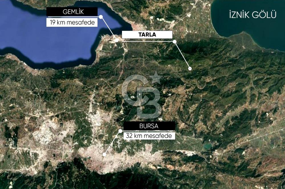 CB AMBIANCE'DAN GEMLİK/FEYZİYE'DE 3.702 M2 MÜSTAKİL TAPULU TARLA