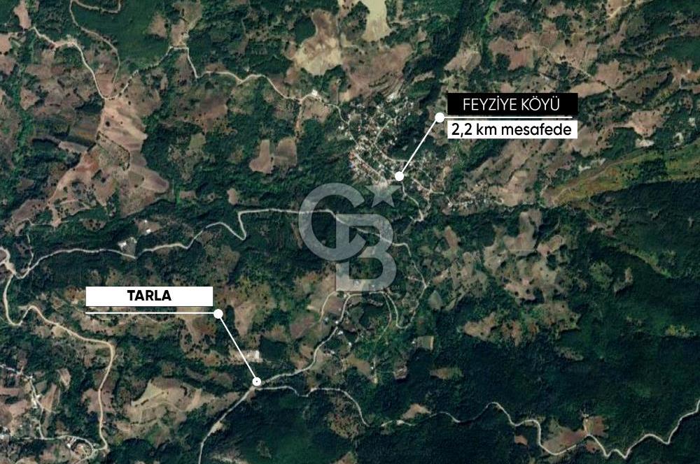 CB AMBIANCE'DAN GEMLİK/FEYZİYE'DE 3.702 M2 MÜSTAKİL TAPULU TARLA