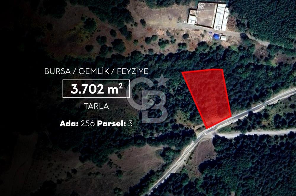 CB AMBIANCE'DAN GEMLİK/FEYZİYE'DE 3.702 M2 MÜSTAKİL TAPULU TARLA