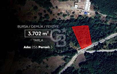 CB AMBIANCE'DAN GEMLİK/FEYZİYE'DE 3.702 M2 MÜSTAKİL TAPULU TARLA