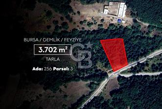 CB AMBIANCE'DAN GEMLİK/FEYZİYE'DE 3.702 M2 MÜSTAKİL TAPULU TARLA