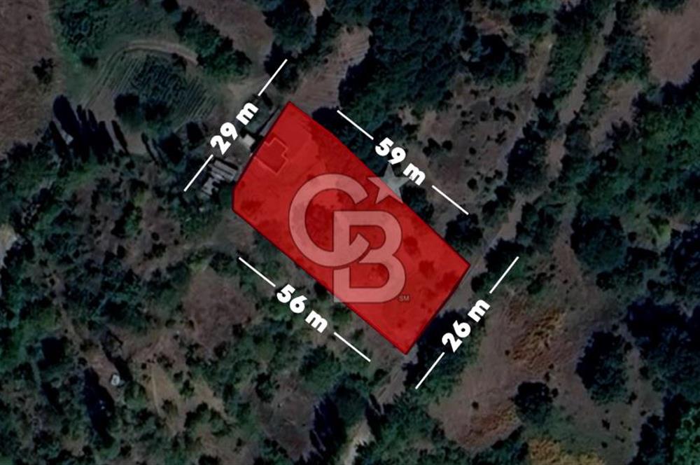 CB AMBIANCE'DAN GEMLİK/FEYZİYE'DE KÖY İÇİ İMARLI 1.584 M2 TARLA