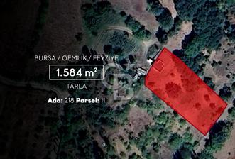 CB AMBIANCE'DAN GEMLİK/FEYZİYE'DE KÖY İÇİ İMARLI 1.584 M2 TARLA
